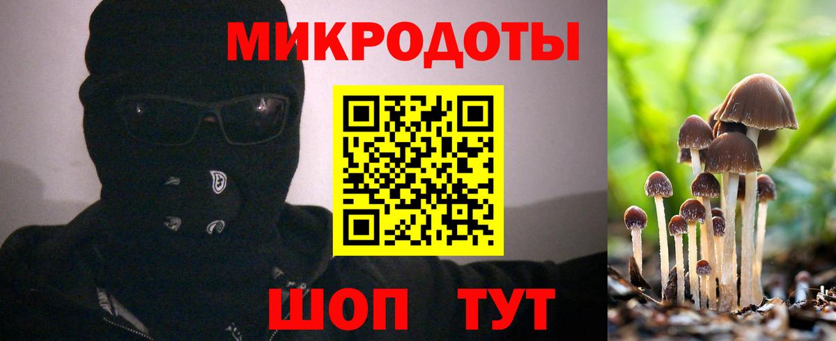 Галлюциногенные грибы Cubensis  Вход с VPN  Мегион 